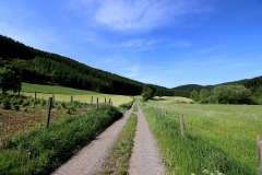IMG_7590