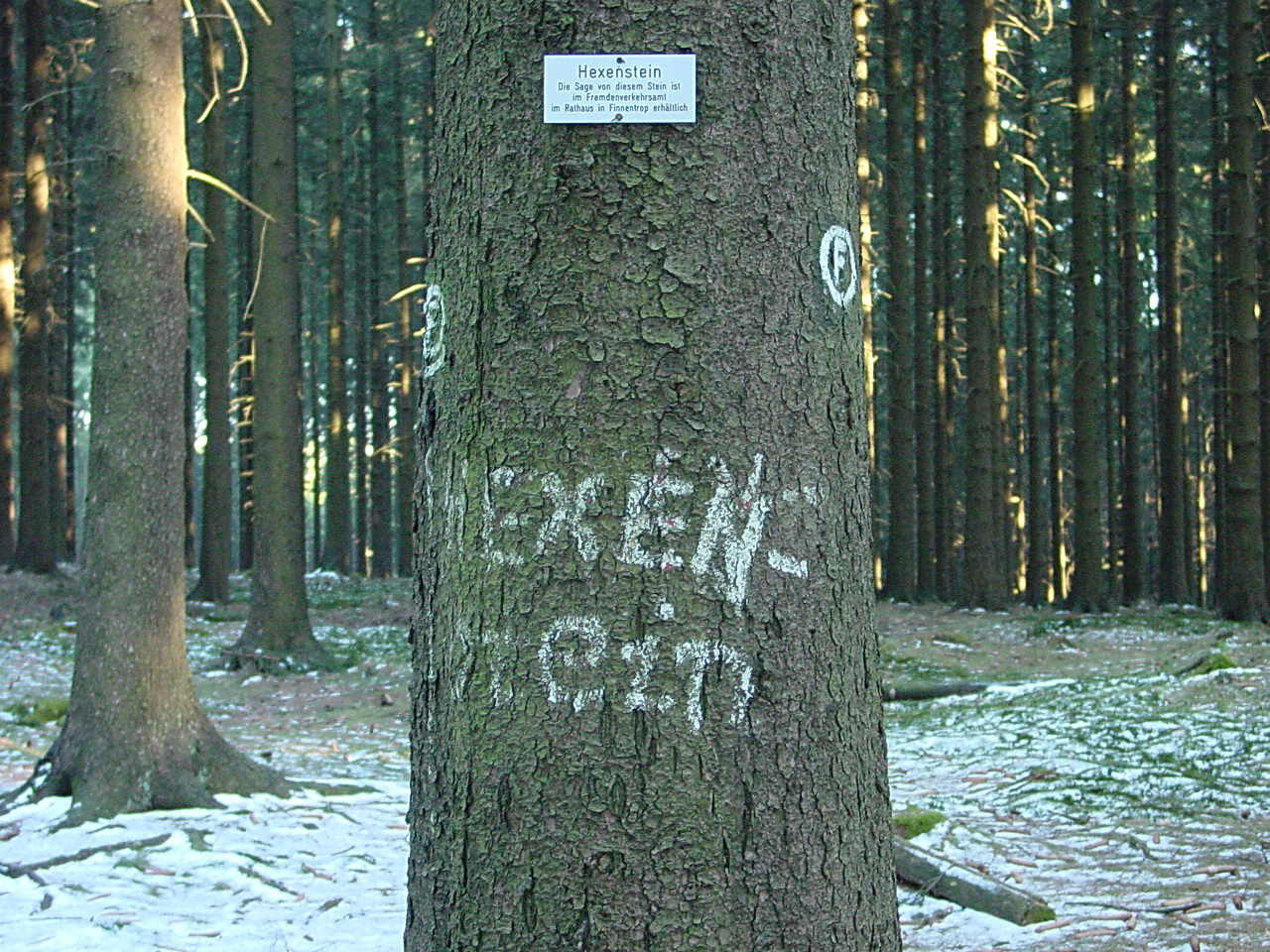 Hexenstein 2006 (vor Kyrill), Fotograph: Eckard Sieg