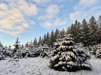 schnee im november 2025